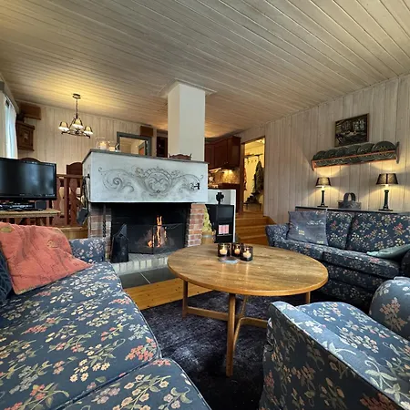 Cozy Family In * Geilo